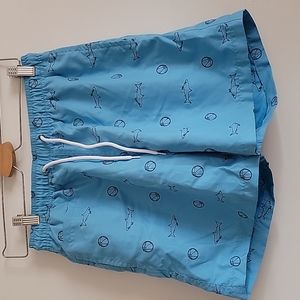 Embroidered blue swim trunks